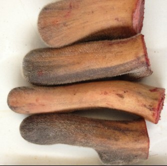 【御鹿堂】鲜鹿茸 毛桃茸 自用泡酒 煲汤佳品