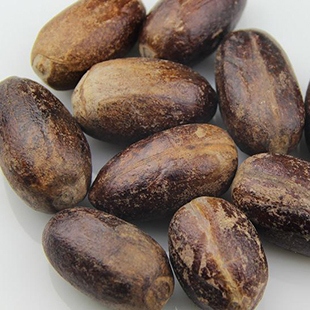 玉果/长玉果/长香果(50克)调味香料 卤料 火锅