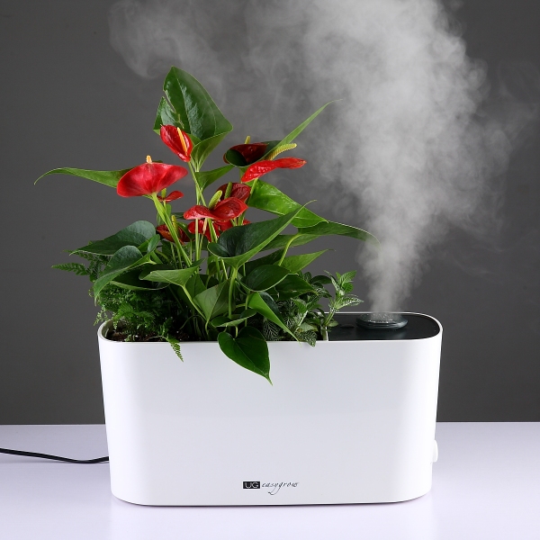 超声波加湿器花盆绿植盆栽加湿加氧塑料树脂兰花盆创意绿植物花盆