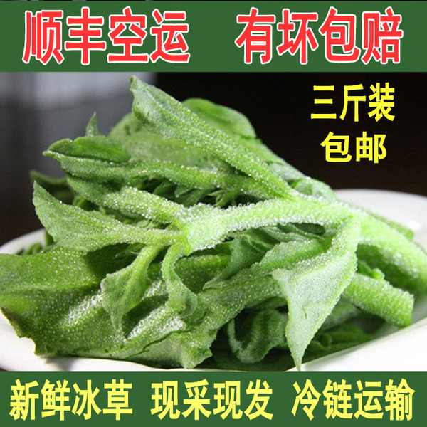 包邮 山东新鲜冰草非洲冰菜素食沙拉菜 蔬菜野菜凉拌菜冰叶日中花