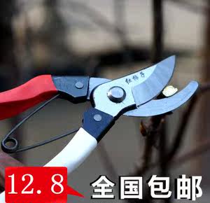 5˫Ь6.9  39   36  Ǽ19