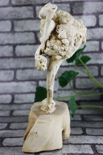 包邮天然茶树瘤根雕根艺根抱石摆件实木原木创意家居造景木头礼品