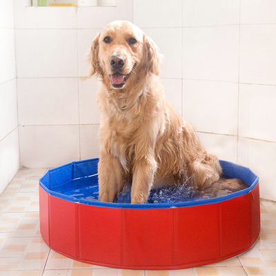 狗狗洗澡盆宠物浴盆 金毛泰迪狗浴缸大型犬游泳池可折叠洗澡用品