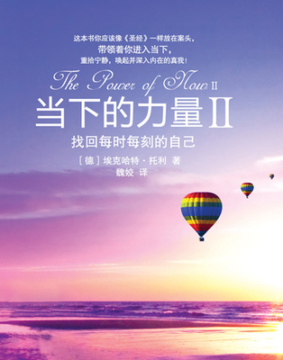 正版现货】当下的力量2(德)埃克哈特·托利 著/中国友谊出版