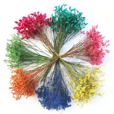云南干花七彩水晶草 彩色水晶超值款 基地直销情人草干花