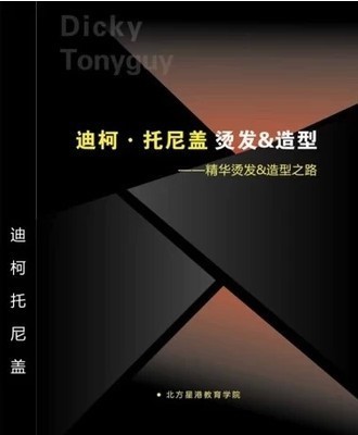 包邮 迪柯托尼盖烫发造型 烫发软化吹风造型 美理烫发吹风教材书