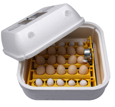 土鸡野鸡山鸡孵化箱 全自动孵蛋器 鸡鸭鹅种蛋孵化机 全国包邮