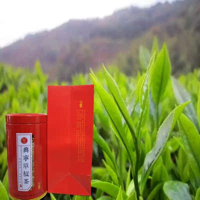 2016茶叶兴宁单枞茶黄蜂窝单从茶乌龙单丛凤凰单枞茶茶1件包邮