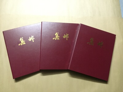 华艺 活页普通集邮册 硬质空夹(可放三轮大小赠版小本贴片明条芯)