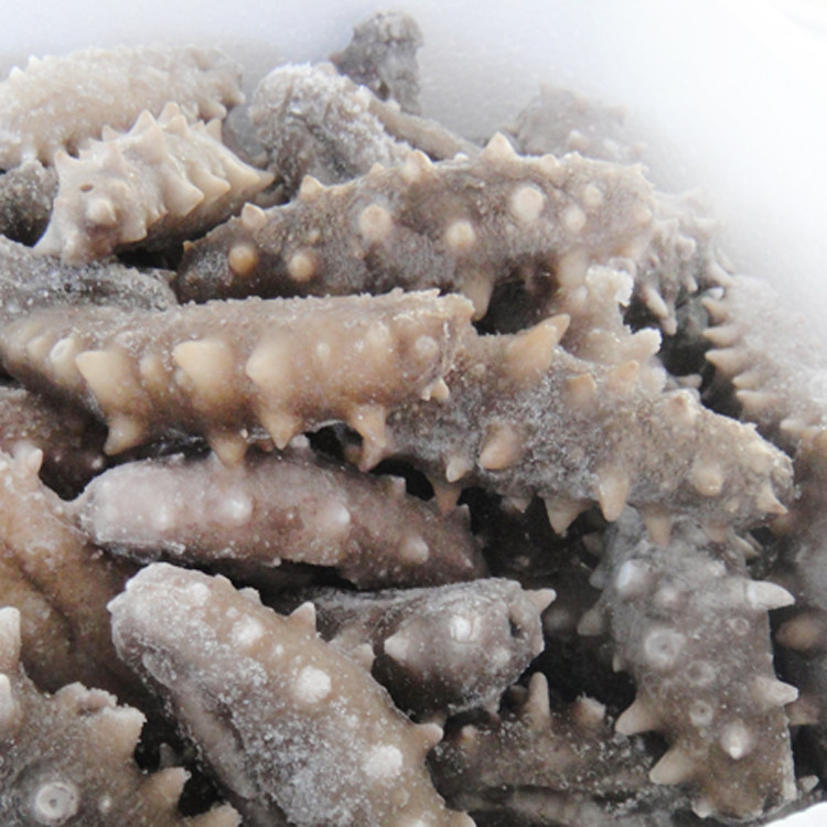 即食海参批发好当家用威海刺参冷冻野生特价28元/个10个包邮t