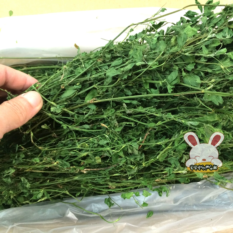 全國包郵極品紫花苜蓿草淨重1000克兔子龍貓荷蘭豬兔草乾草牧草