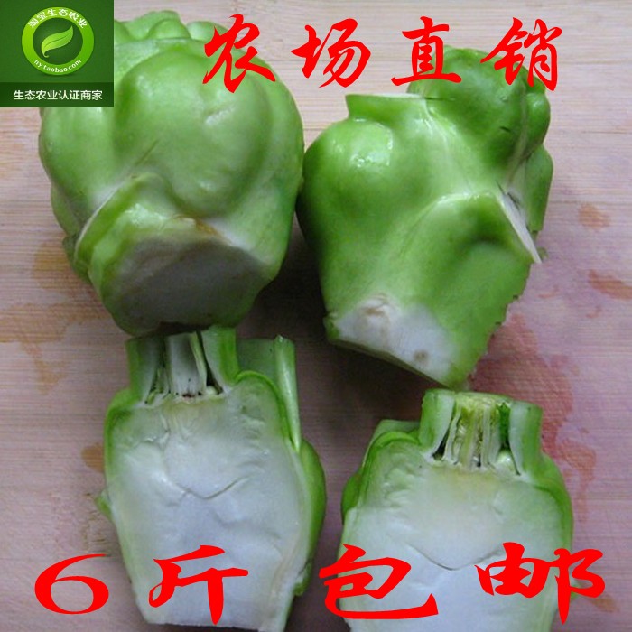 四川特產青菜頭新鮮菜頭菜腦殼泡菜原料500g/份繃繃蔬菜野菜