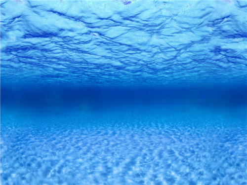 鱼缸双面背景纸背景画背景图贴纸壁画壁纸高清水族箱海水60cm包邮