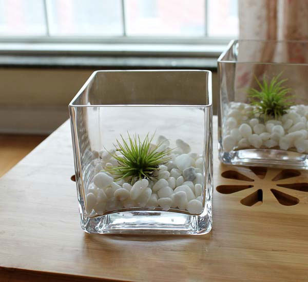 特价时尚简约透明正方形玻璃方缸花瓶水培花插绿萝水仙风信子花瓶-淘