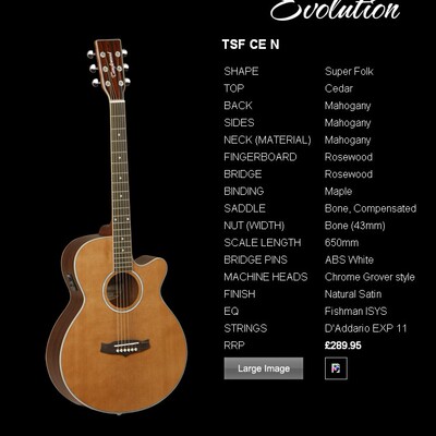 英国tanglewood大树40/41寸圆/缺角单板吉他电箱吉他单板电箱左手