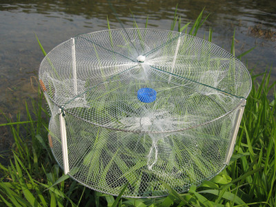 新款大白虾笼捕鱼笼虾网捕虾笼鱼网渔具捕鱼工具买5个送1饵