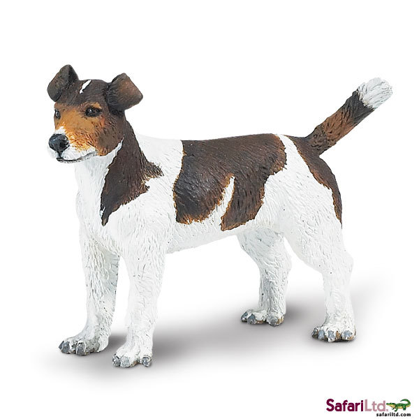 美国safari正品【仿真动物模型-杰克拉塞尔梗犬 狗】