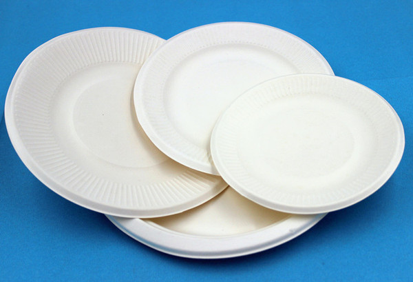 白色纸浆纸盘6寸7寸8寸9寸硬厚幼儿园自制手工diy材料批发