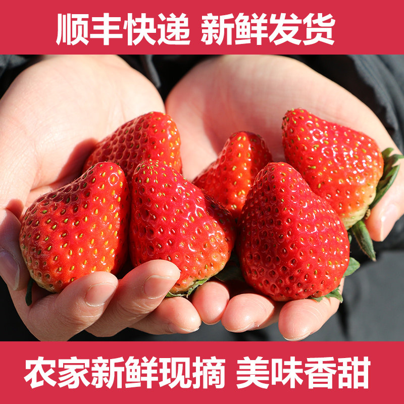 新鲜水果哪里找？我这！