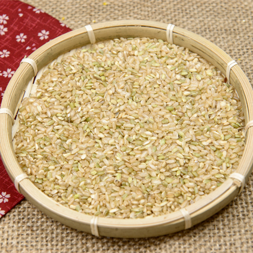 18元包邮 绿糙米 大米有机新货糙米 有机胚芽营养大米 绿色养胃