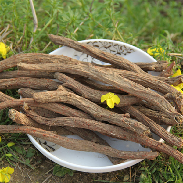 原生态野生正品紫丹参丹参可切片磨粉丹参茶250g包邮默认发整枝