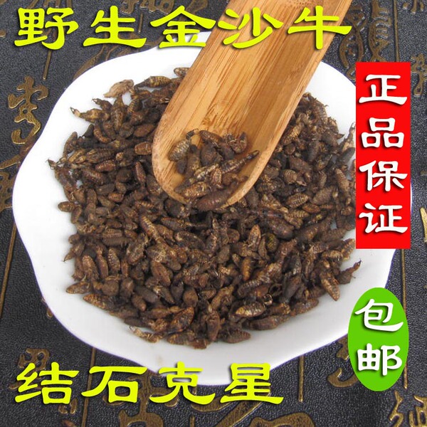 农家自产 纯野生金沙牛 金砂牛 蚂岭虫 蚁狮 一级清水 10克
