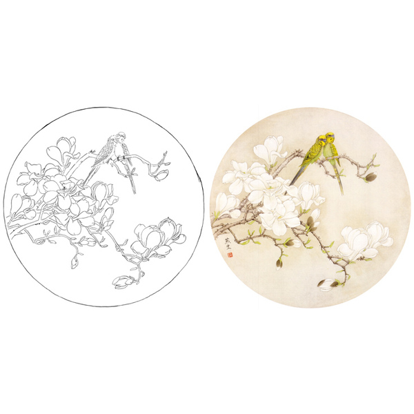圆形团扇花鸟小品玉兰鹦鹉工笔画白描底稿临摹勾线实物打印稿298