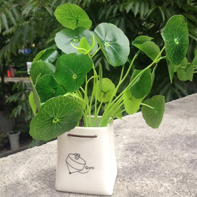 高仿真小荷叶铜钱草桌面摆件迷你盆栽 客厅书房装饰陶瓷套装礼品