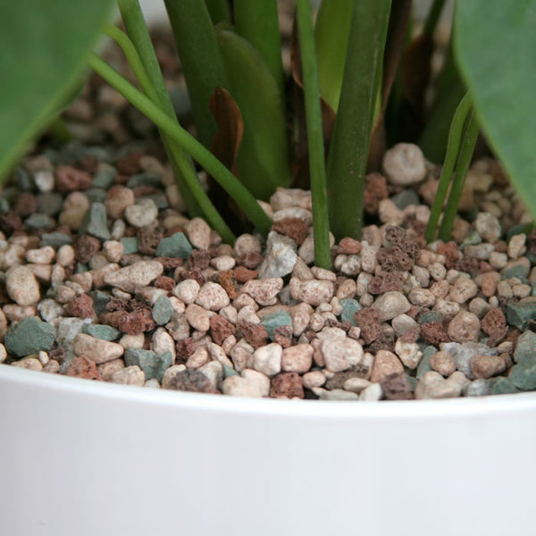 蕾秀虹彩石12l整包包邮批发分装 铺面石 进口多肉植物营养土 500g