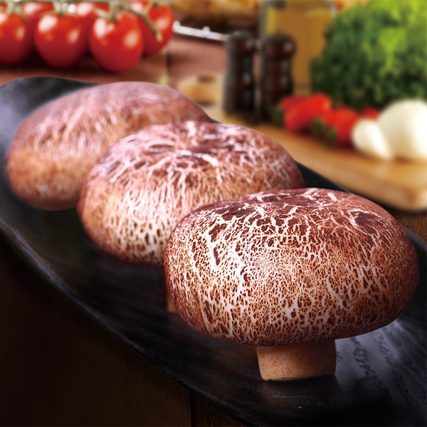 乐肴居烧肉蘑菇包 10个装 新品包子面点下午茶点心 400克-淘宝网全球