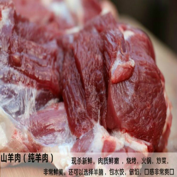 新鮮山羊肉新鮮羊肉羔羊肉無骨無皮羊肉有機羊肉純羊肉5斤包郵