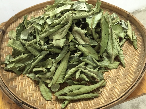 250g番石榴查番泻茶茶降血糖茶番石榴叶茶芭乐叶绝无掺假