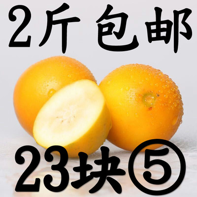 现货试吃2斤装广西融安金桔脆皮 滑皮金桔子 桔子桔金果新鲜水果