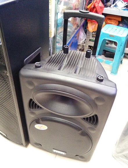 特美声dp-2305l舞台音响拉杆式电瓶音响充电音箱卖唱音箱卖唱