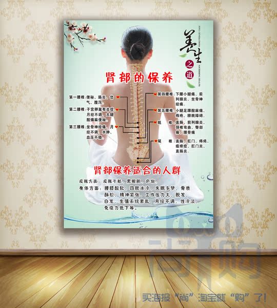 中医美容院美容美体海报养生馆挂图展板宣传画订制肾部的保养写真