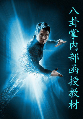 国术 八卦掌内部函授教材 内家拳视频九宫阴阳萧氏程式尹派武当