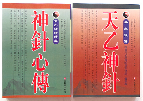 千年秘传天乙神针天乙神针续篇神针心传张伟杰有积分