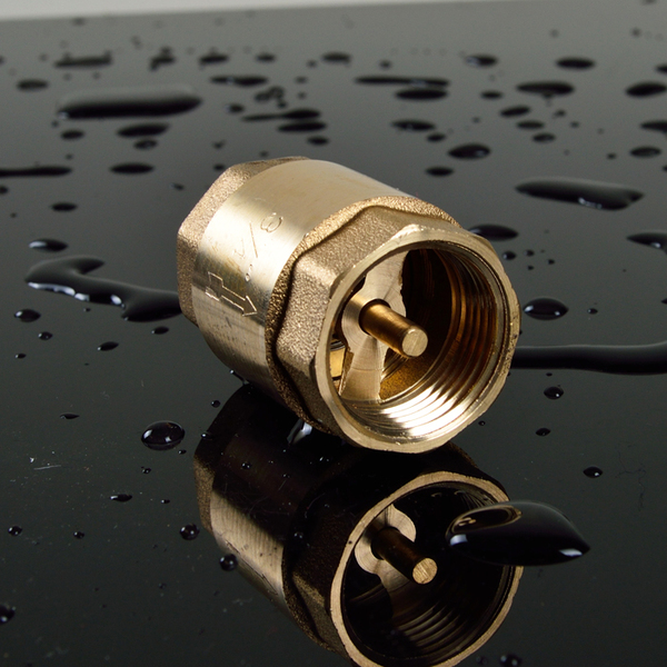 向阀止逆阀水泵阀底阀水管水表止回4分6分1寸1/2全铜立式止回阀单