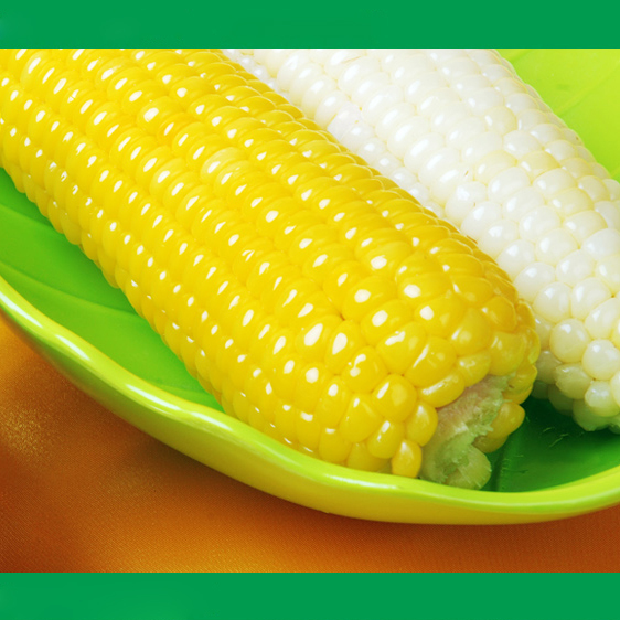 特产禾久熟甜糯玉米新鲜有机粘白嫩花色玉米棒熟真空包装20根包邮