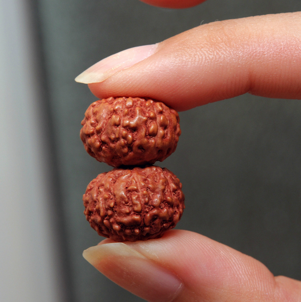 尼泊尔八8瓣红皮满肉纹飞碟桩小金刚菩提子14mm15手串佛珠单散珠