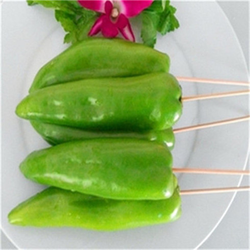 【魔都烤吧】青椒/5串 上海户外烧烤食材配送bbq烤串肉串半成品