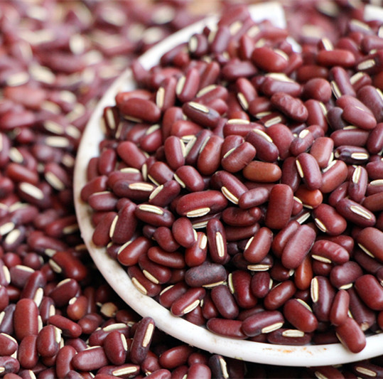 药用长粒赤小豆非红豆500g农家自产正宗赤小豆杂粮/3斤起包邮祛湿