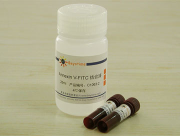 碧云天生物 beyotimeannexin v-fitc细胞凋亡检测试剂盒 c1063