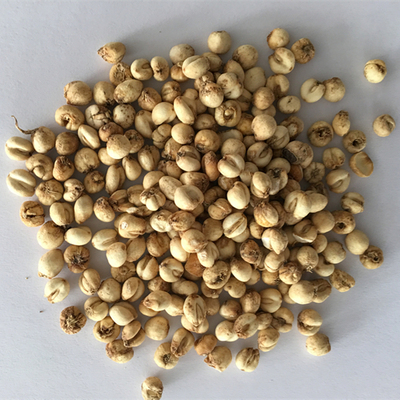 无硫磺川贝母 尖贝母 川贝 贝母 全干 中药材供应 500克190元包邮