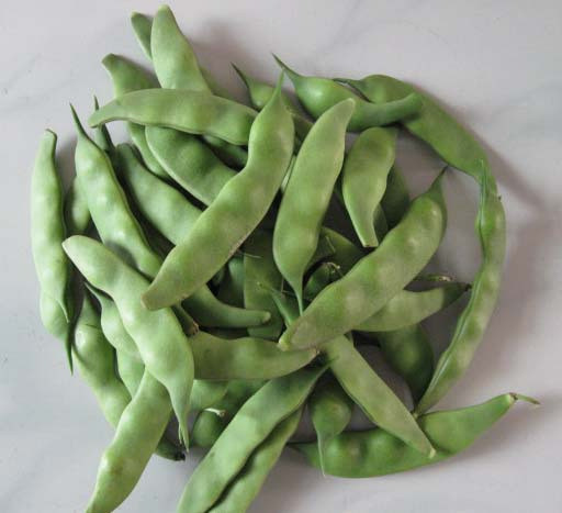 东北特产油豆角 鲜嫩油豆角 紫花油豆 500克 3斤包