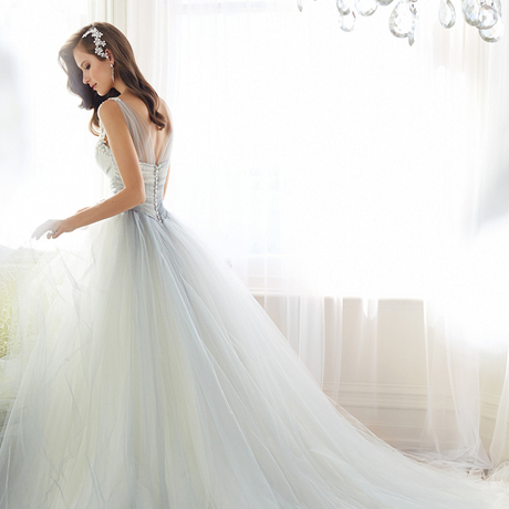 婚纱礼服2015秋冬季新款蕾丝双肩深v领欧美长拖尾时尚简约婚纱