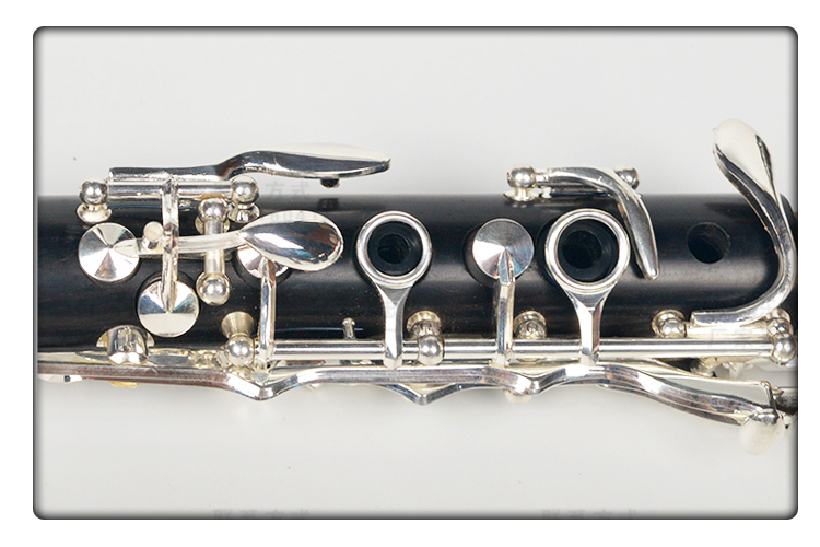 Nhạc cụ mới đích thực clarinet clarinet Nhạc cụ gỗ mun clarinet thử nghiệm hiệu suất - Nhạc cụ phương Tây