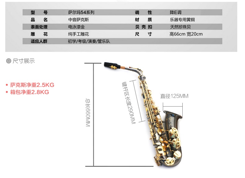 Saxophone mới Salma Alto / Nhạc cụ / Tube Black Nickel Gold Saxophone dành cho người mới bắt đầu - Nhạc cụ phương Tây