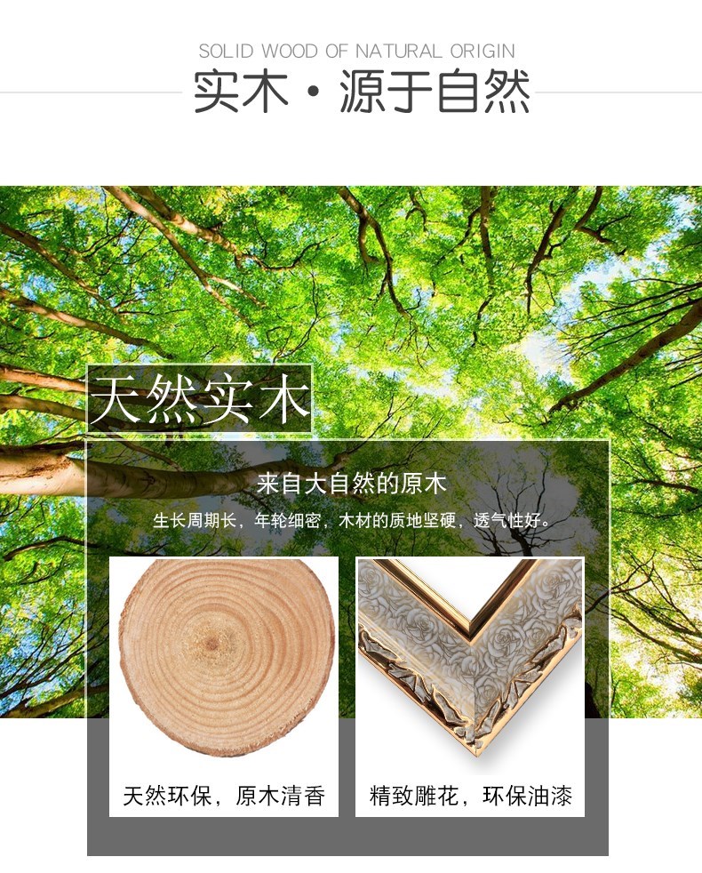 Gương gỗ toàn thân gương phòng ngủ gương sàn nhà phong cách châu Âu Gương thay quần áo cửa hàng quần áo ký túc xá sinh viên gương trang điểm tường - Gương