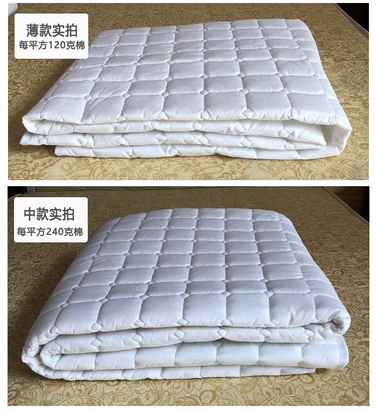 Bảo vệ nệm sản phẩm mới làm dày khách sạn sử dụng kép nệm mỏng tatami nệm sinh viên cung cấp cho ký túc xá đôi chống trượt - Nệm